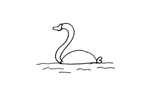 第三步：在小天鹅的下方画些波浪线来表示小天鹅在游泳。