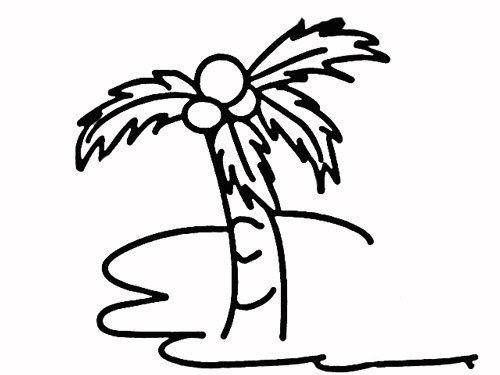 沙滩上高大的椰子树简笔画图片