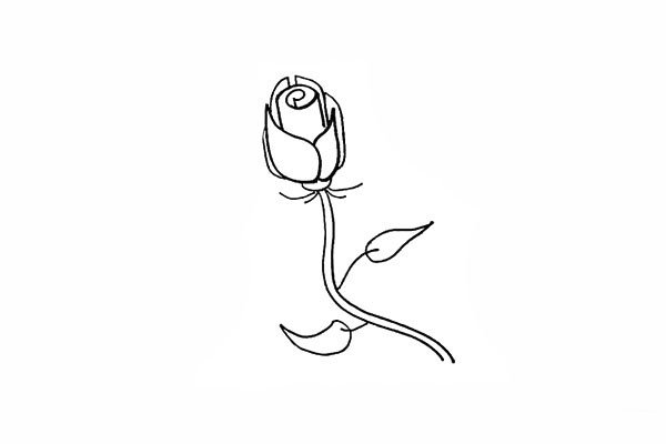 9.然后在枝干的两侧画出玫瑰花的叶子。