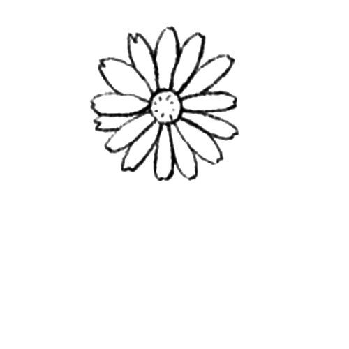 2.再画中间添加上花瓣儿。