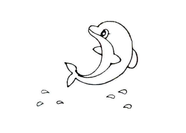 可爱的小海豚简笔画2