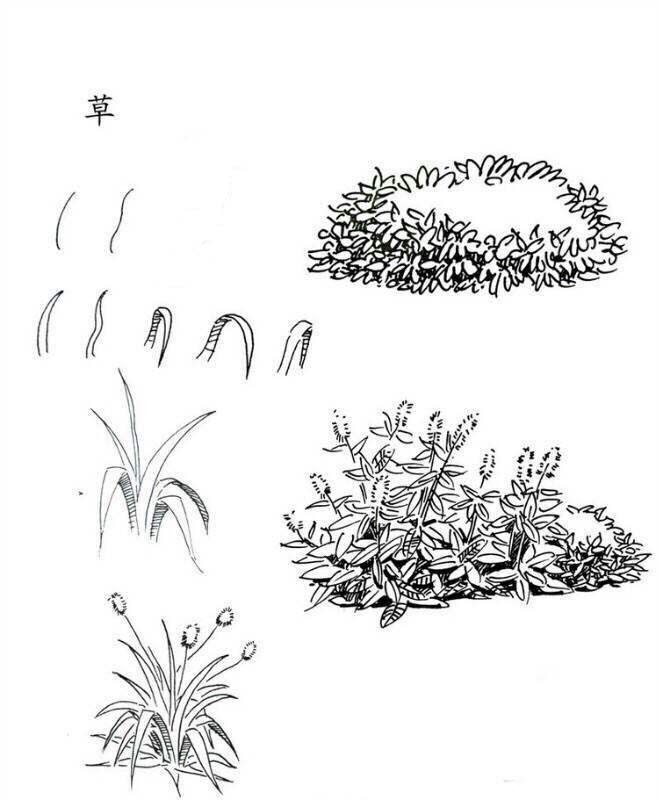 植物图片 草的简笔画画法