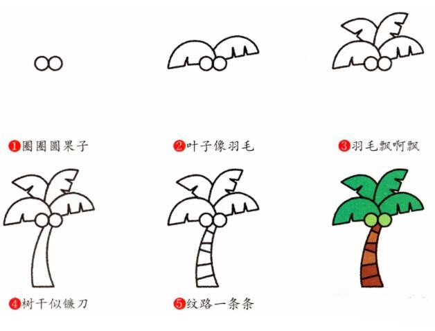 椰子树的画法