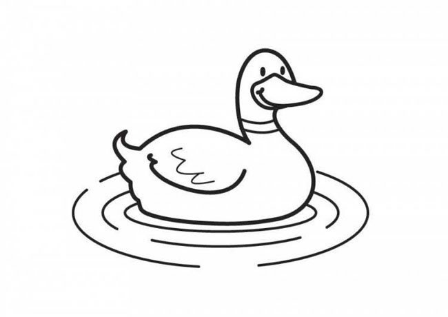 动物简笔画 水里的鸭子简笔画图片