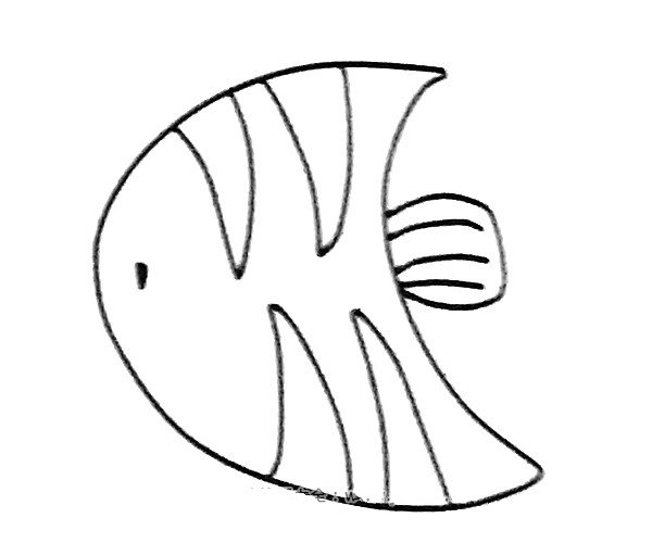 神仙鱼简笔画图片4