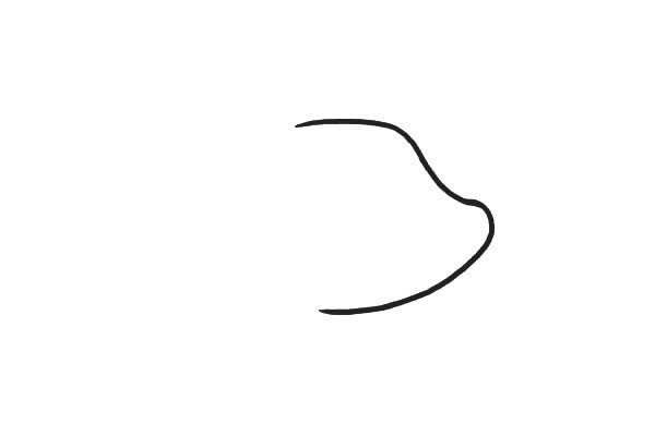 1.用曲线画出小猪的头部的轮廓。