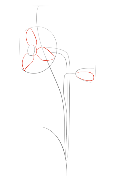 如何画水仙花
