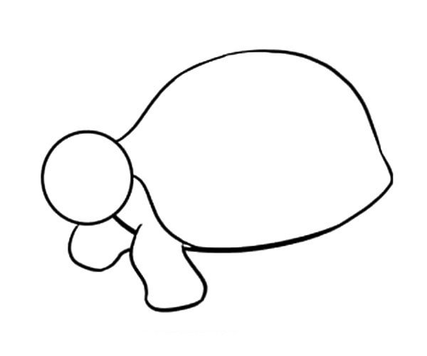6.清除龟壳和腿上的引导线。