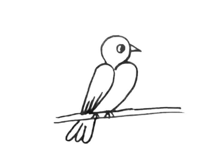 简单的小鸟简笔画图片1