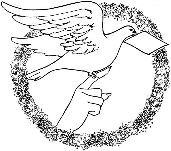 和平使者和平鸽简笔画图片