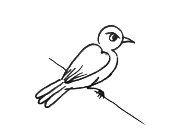 简单的小鸟简笔画图片2