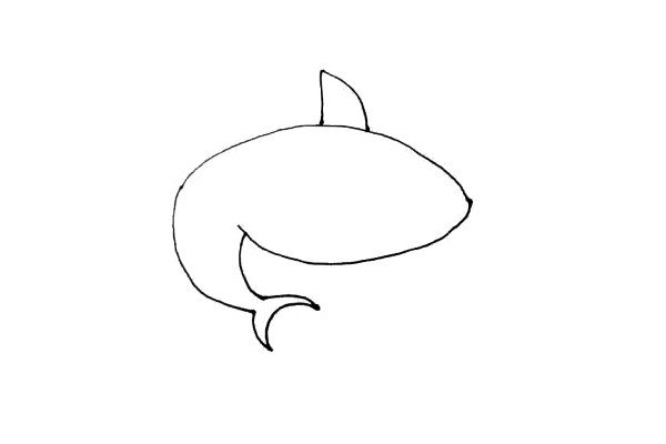 第四步：在上面画上鲨鱼的背鳍，这是鲨鱼的标志。