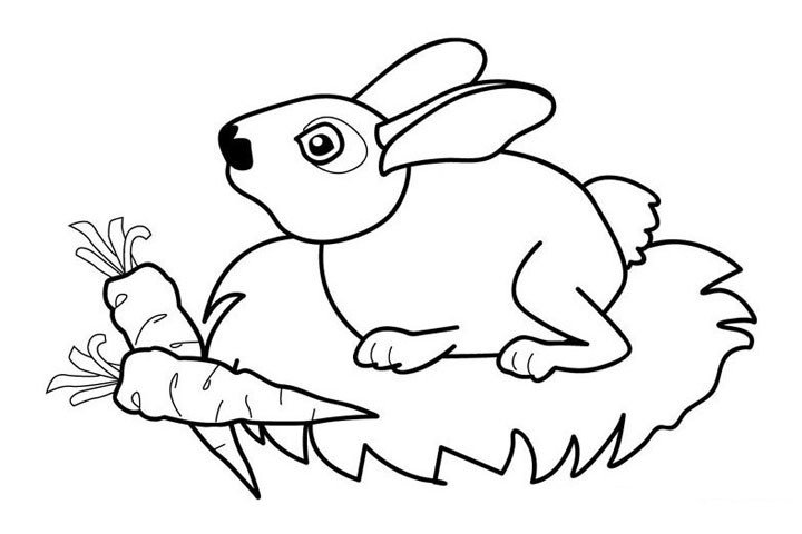复活节兔子简笔画图片2