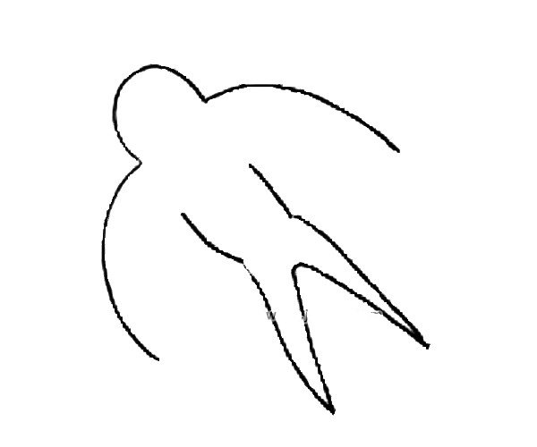 第三步：先画出燕子的身子和像剪刀一样的尾巴。