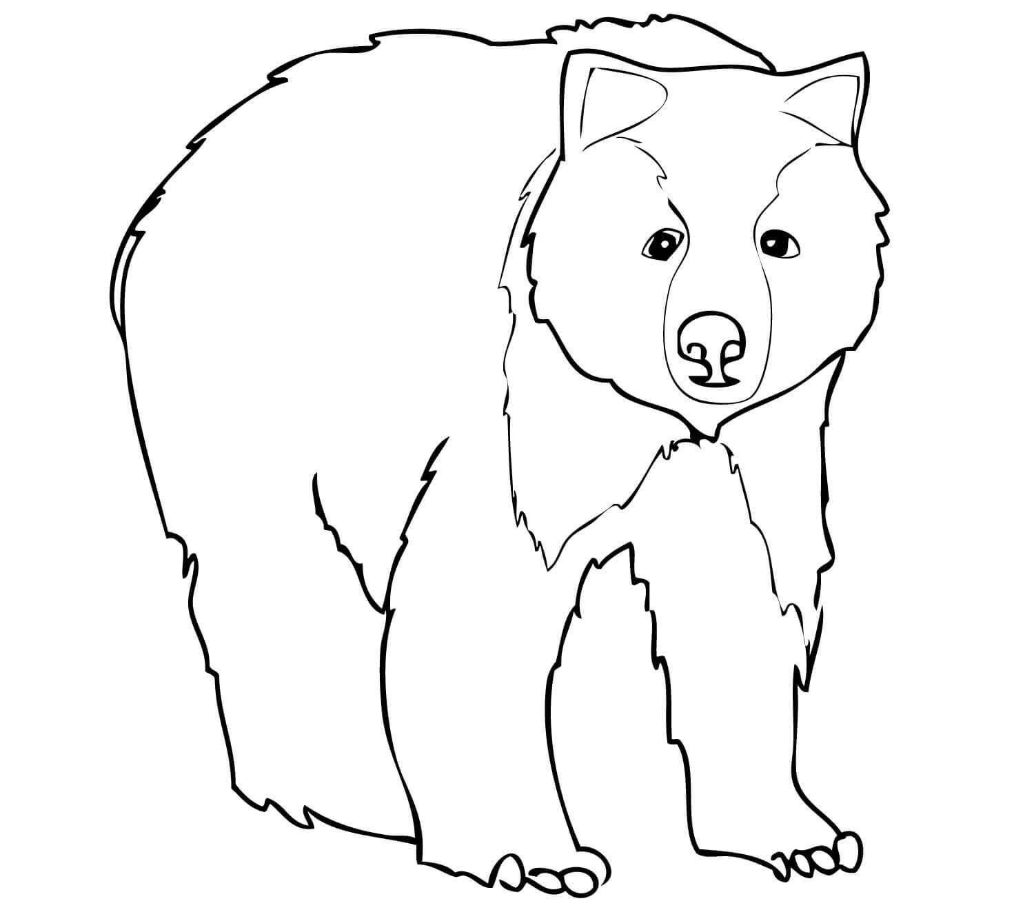 小灰熊简笔画画法