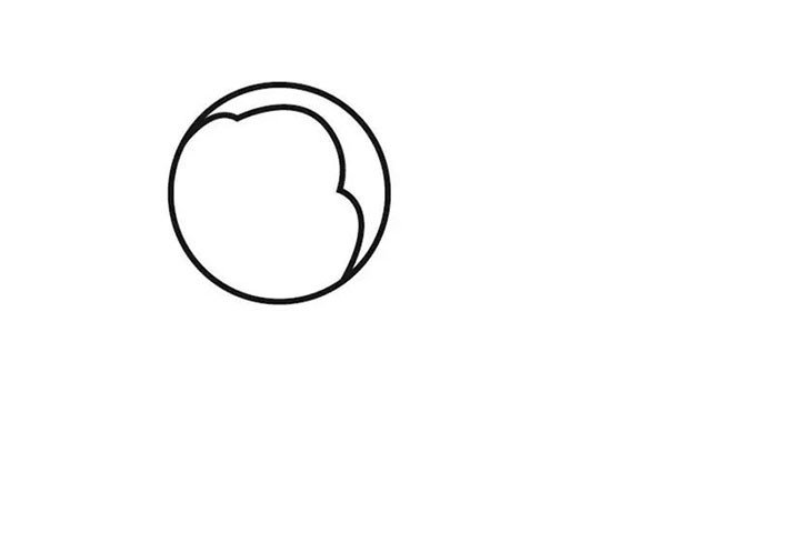 1.先画一个圆圈，勾勒蜜蜂的轮廓。