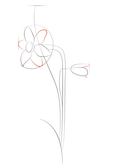 如何画水仙花