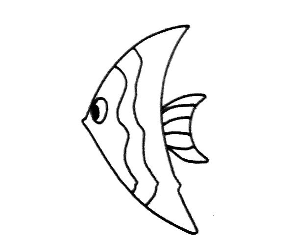 神仙鱼简笔画图片6