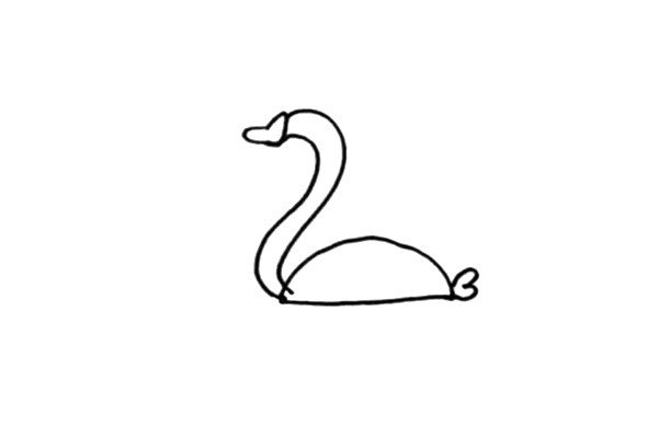 第二步：接着画小天鹅的身体和它短小的尾巴。