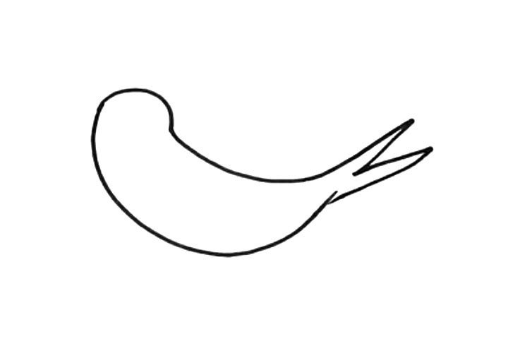 3.画燕子像剪刀一样的尾巴。