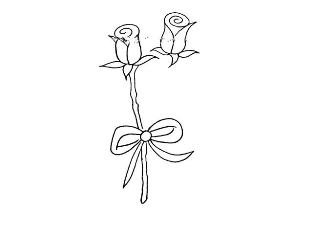 第六步 花茎可以画的稍微弯曲一些。