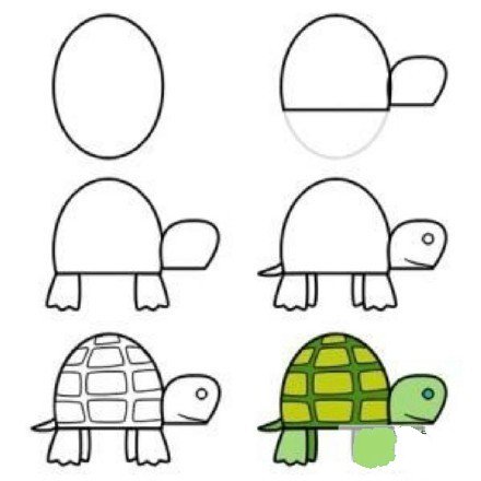 教你如何画小乌龟