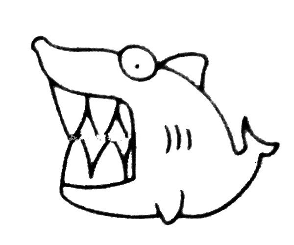 卡通鲨鱼简笔画步骤4