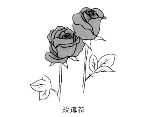 简单漂亮的玫瑰花简笔画