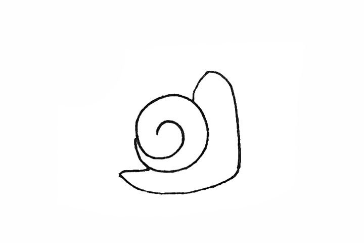 2.然后旁边先划过来一条曲线，再横着连接蜗牛壳形成身体。