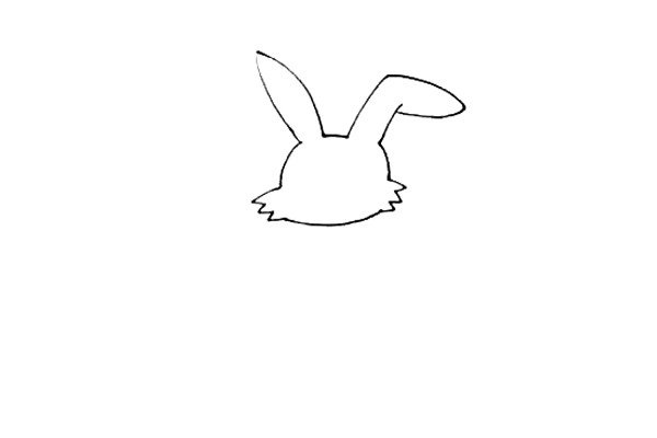第二步：接着画上兔子的脸部轮廓，两边面画上折线表示它的胡子。