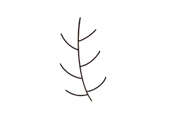 1.画几根交叉的线条作为树茎。