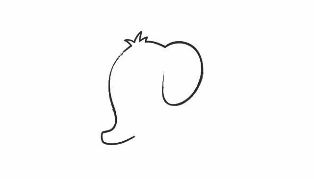 第一步  首先从大象的鼻子开始勾画至头顶，给大象画一些竖起来的毛发，然后再延伸到耳朵。