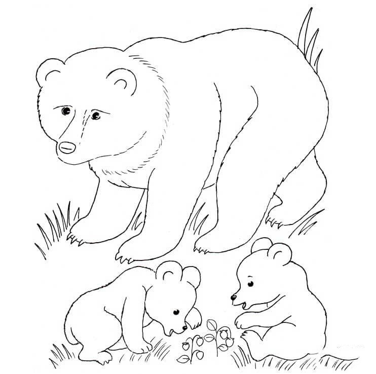 熊妈妈和熊宝宝