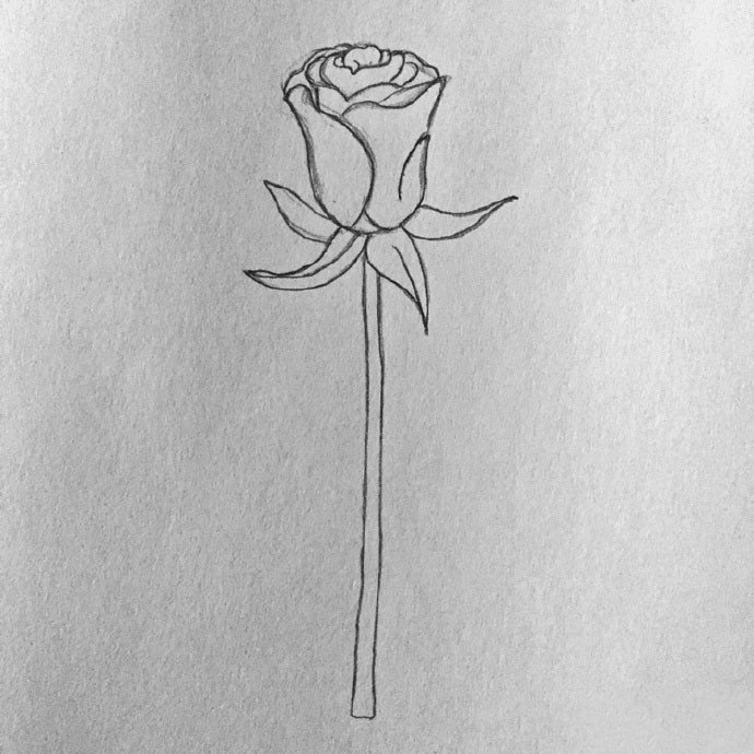 玫瑰花少女简笔画步骤图