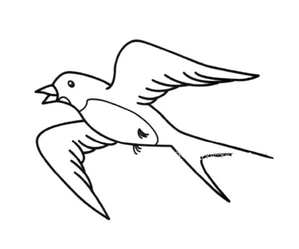 飞翔的燕子简笔画图片