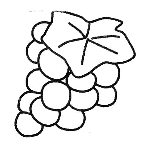漂亮的葡萄简笔画图片2