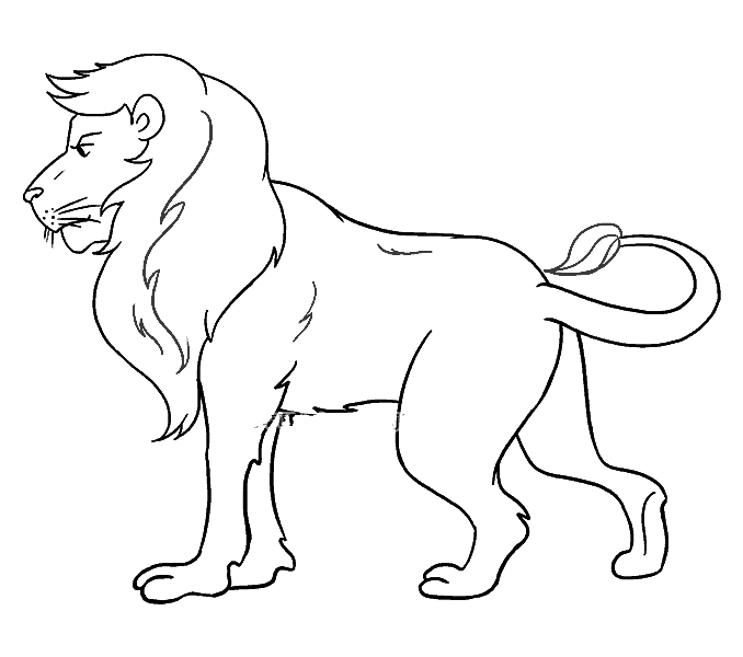 雄壮的狮子简笔画图片1
