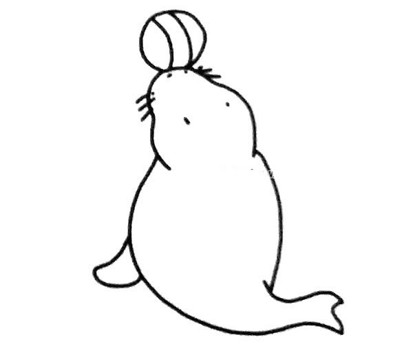 一组可爱的海狮简笔画图片