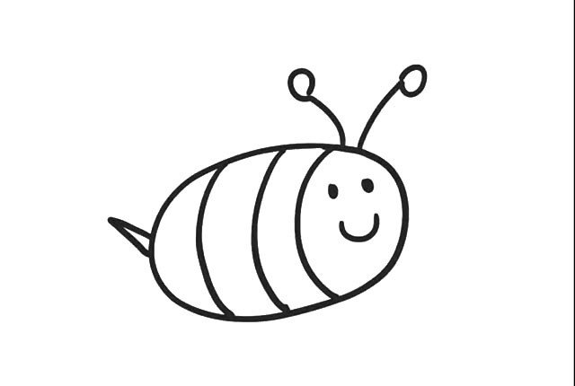 5.在头顶画上两条线， 在线的顶端画上两个小圆圈， 小蜜蜂触角就画好了。