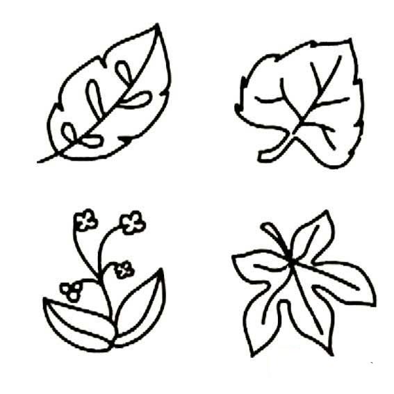 几张树叶的简笔画图片