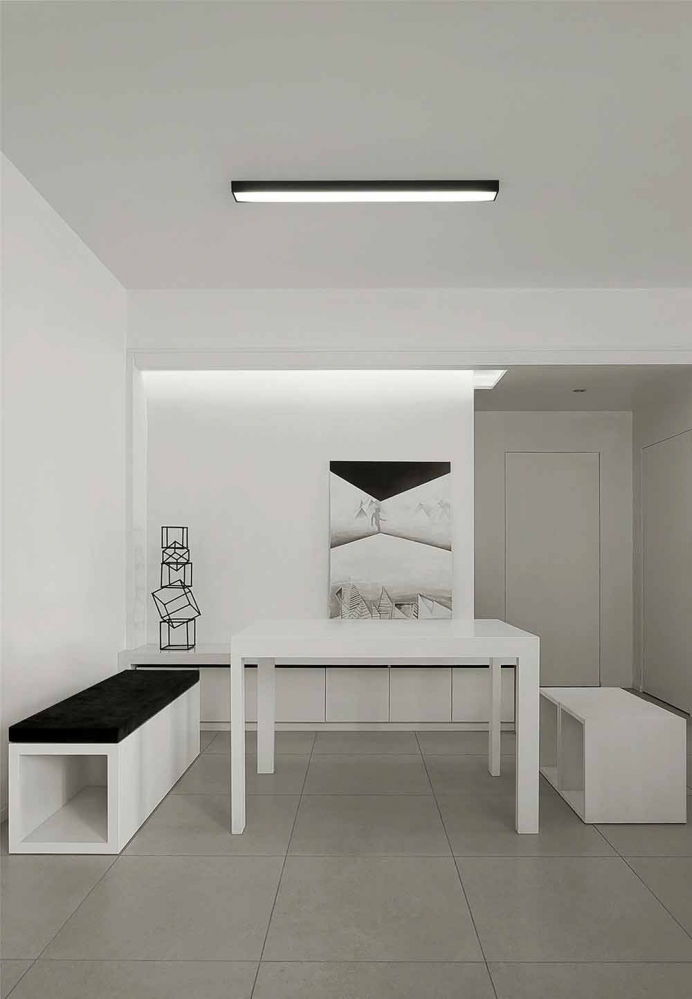 黑白极简主义风格两居室装修案例