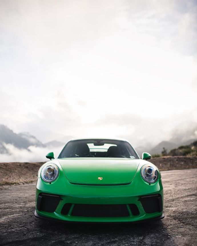 一只绿色小青蛙 GT3 911.2图片欣赏