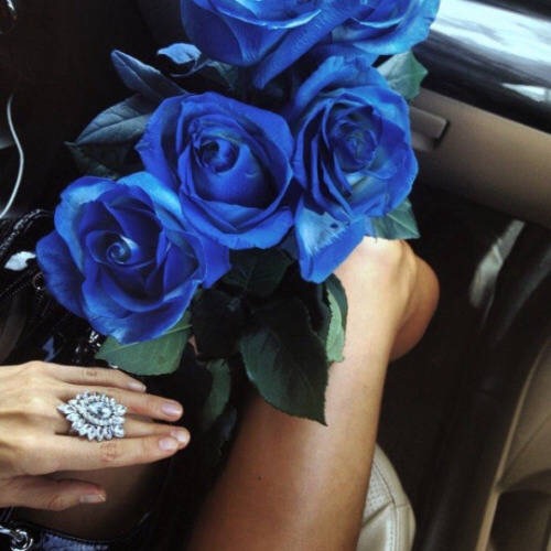 高清蓝玫瑰花束图片