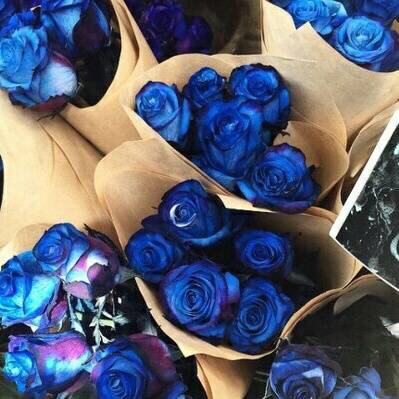 高清蓝玫瑰花束图片