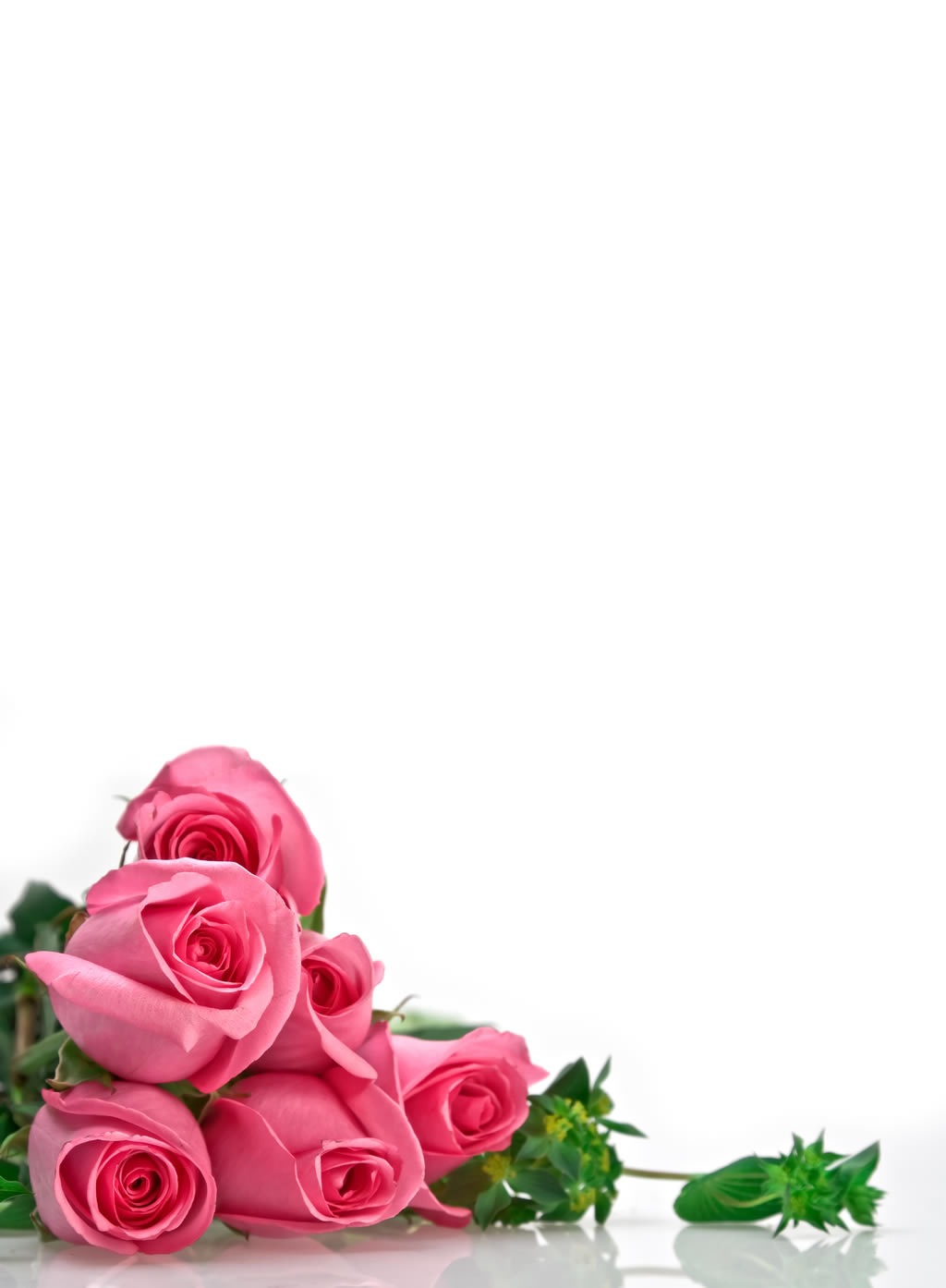 粉红玫瑰花束高清图片