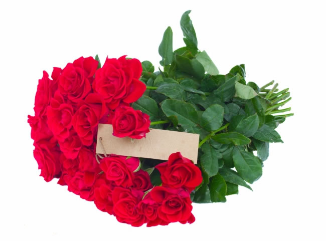 红色玫瑰花束图片素材