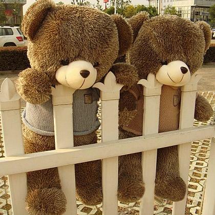 一组呆萌可爱的泰迪熊玩具图片