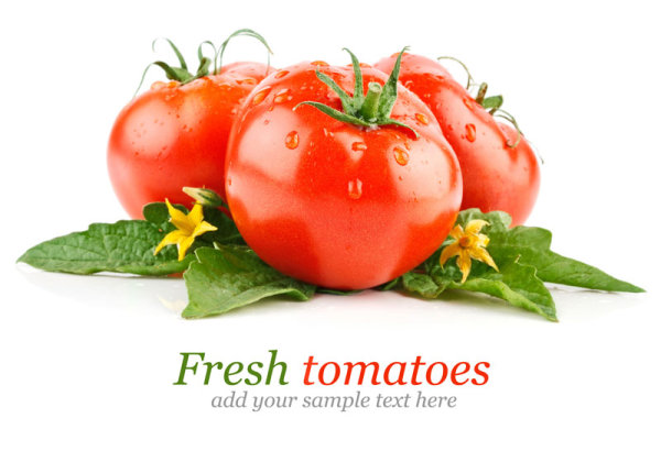 高清新鲜西红柿番茄蔬菜图片