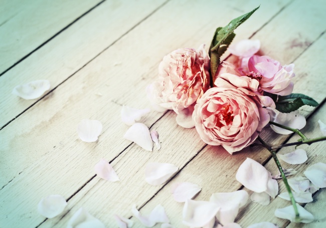 木板上的玫瑰花高清图片