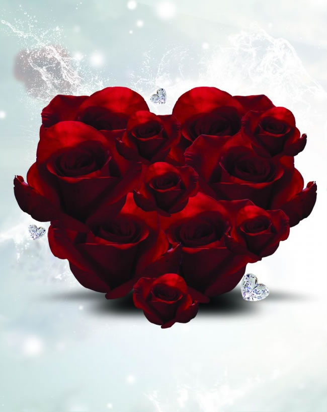 情人节红玫瑰花背景图片